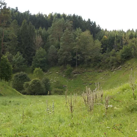 Geisbergblick Appartement *