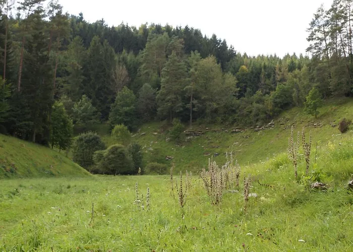 Geisbergblick Zeegendorf